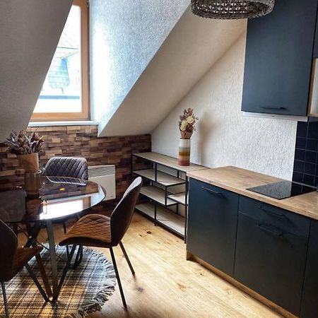 Cozy And Warm Apartment In The Heart Of Karlsbad Exterior photo